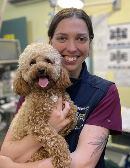 About Torquay Animal House Veterinary Clinic & Hospital