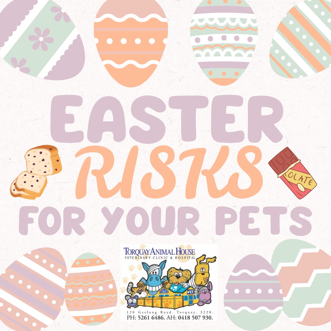 Easter Risks! Chocolate and Saltanas