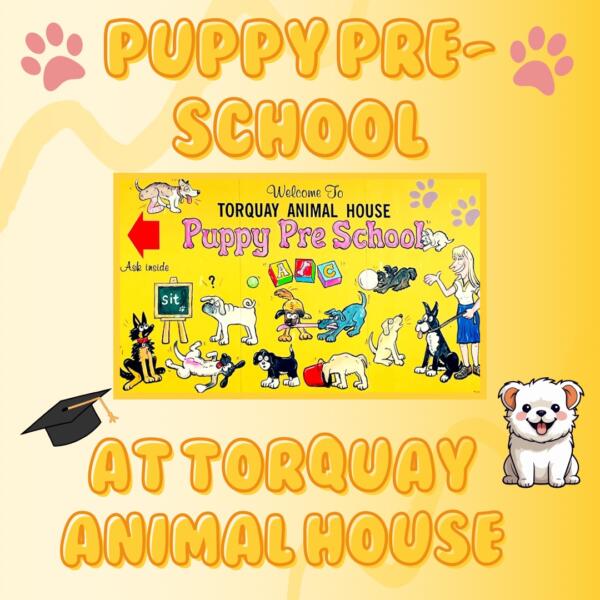 Puppy Pre School Torquay Animal House Vets
