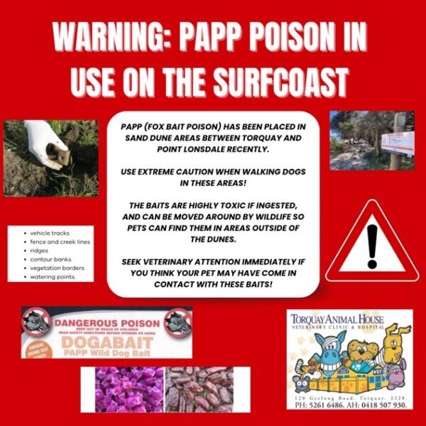 Torquay Animal House Vets Bait Warning