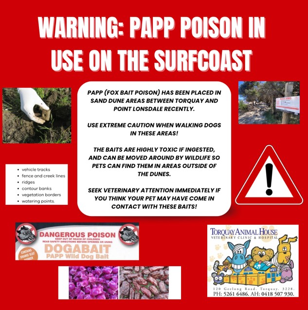 Torquay Animal House Vets Bait Warning