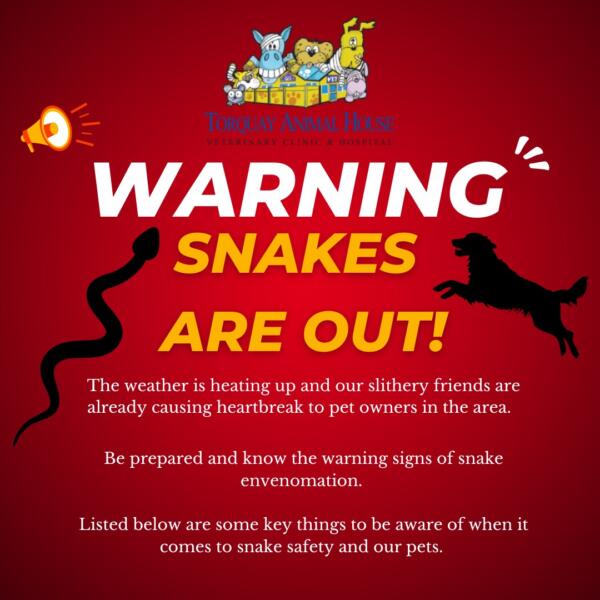 SNAKE WARNING TORQUAY ANIMAL HOUSE VETS