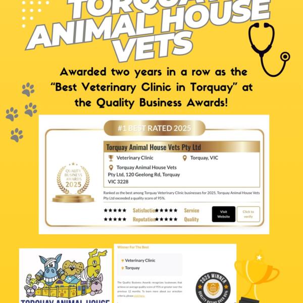 Torquay Animal House Business Awards Winner