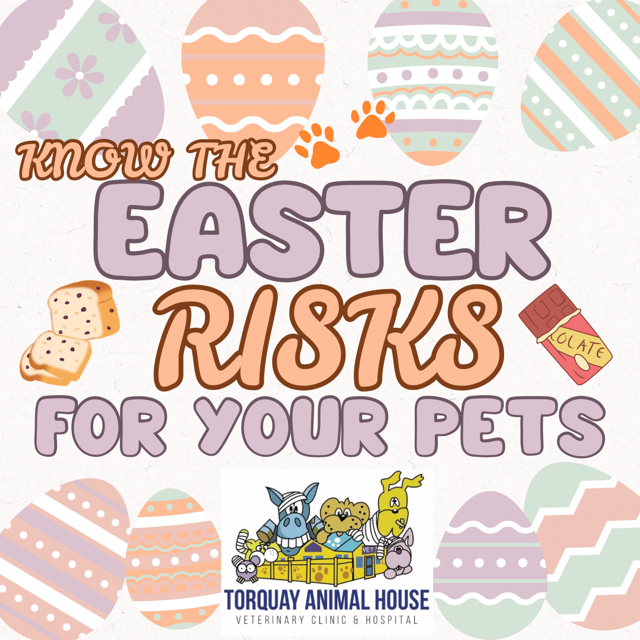 Know the Easter Risks for your pets