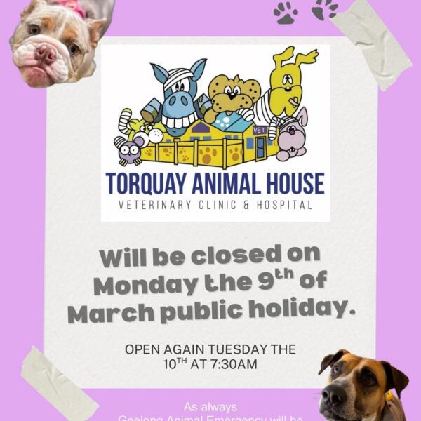 Sorry, We Are Closed! Torquay Animal House Vets