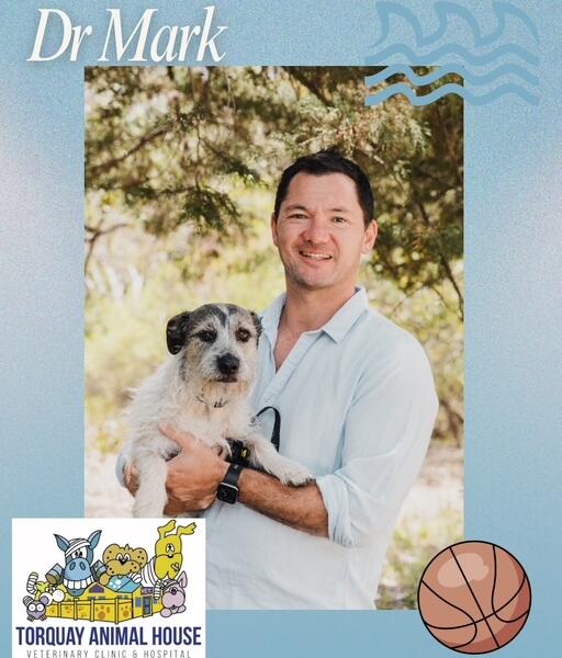Dr Mark Yee, Veterinarian at Torquay Animal House Veterinary Clinic and Hospital