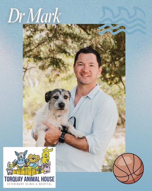 Dr Mark Yee, Veterinarian at Torquay Animal House Veterinary Clinic and Hospital