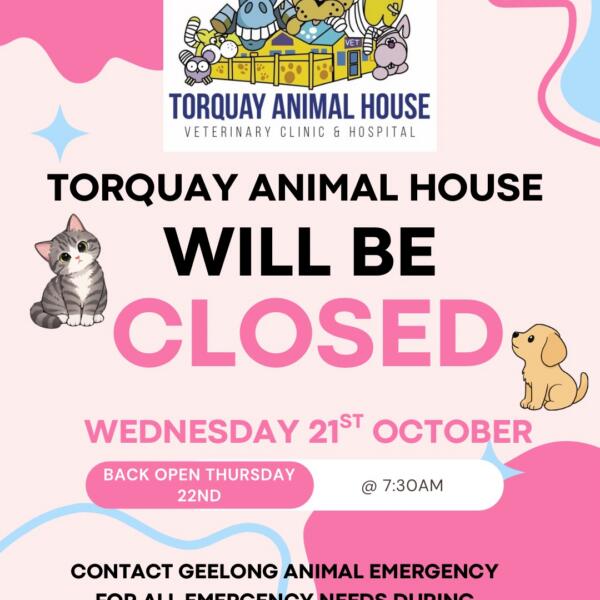 Torquay Animal House Vets Closed Geelong Cup