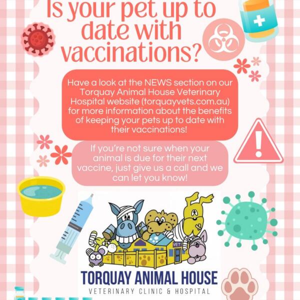 Is Your Pet Up To Date With Vaccinations? - 1